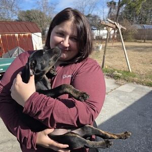 Meet your Posher, Chloe